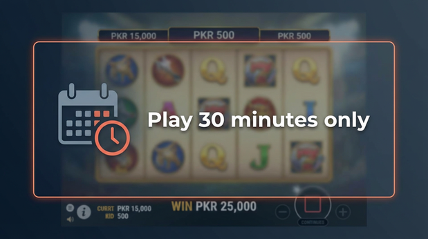 Payment and PKR controls in winpkr - 6